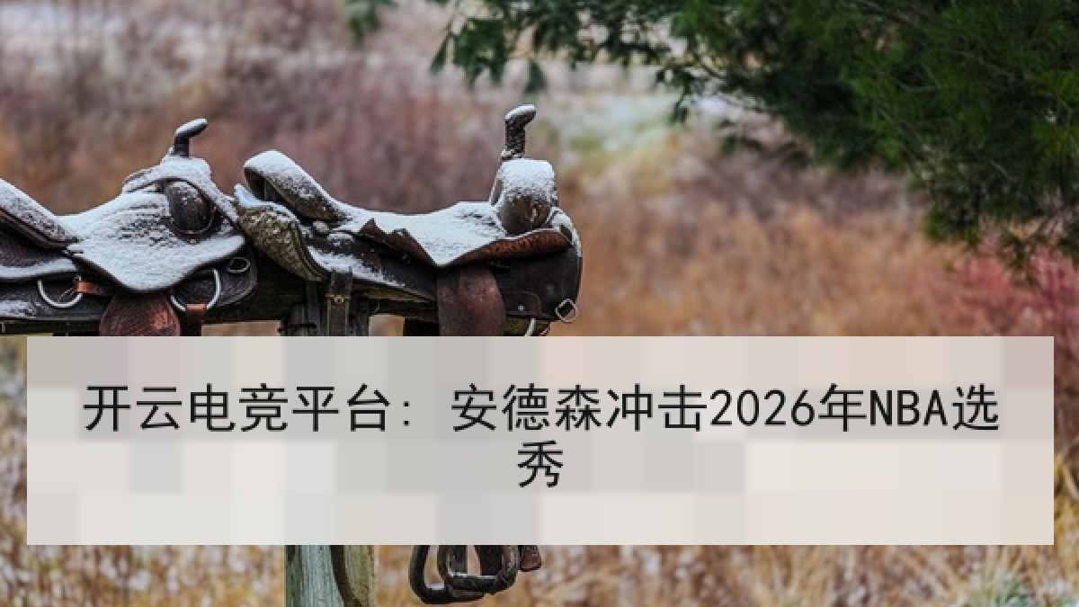 开云电竞平台: 安德森冲击2026年NBA选秀
