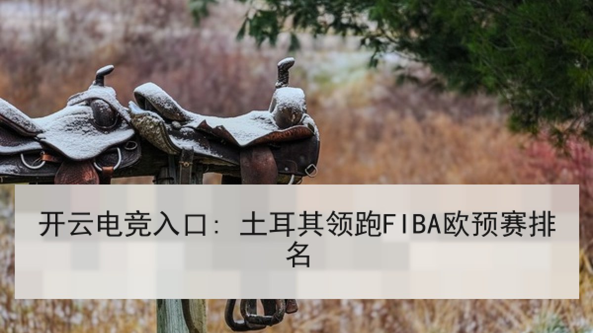 开云电竞入口: 土耳其领跑FIBA欧预赛排名
